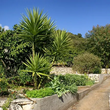 דירה Vrbovica 4452c Zrnovo