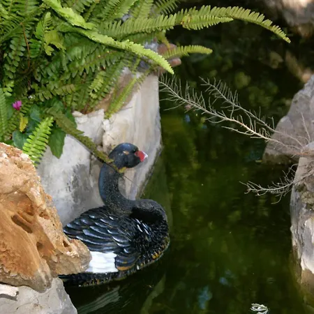 Vrbovica 4452c * Zrnovo