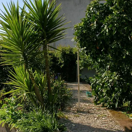 דירה Vrbovica 4452c *